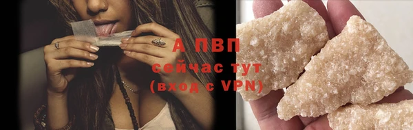 a pvp Белокуриха