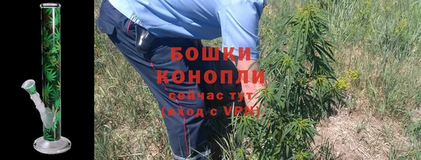 a pvp Белокуриха