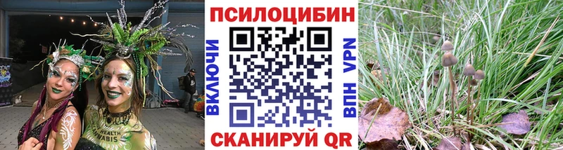 дарнет шоп  Ярцево  Псилоцибиновые грибы прущие грибы 